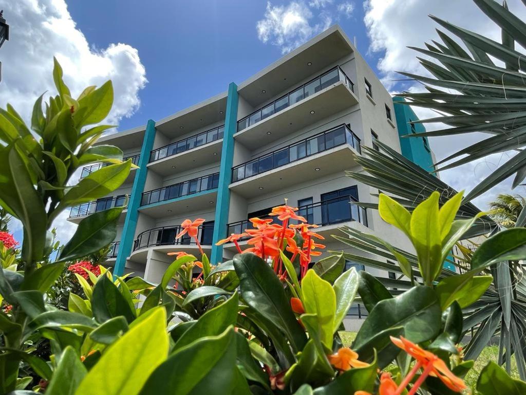 Hillsboro Condominiums Basseterre 外观 照片